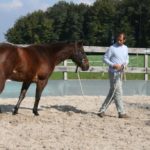 Pferdegestützte Intervention 4, MTI Schmidt