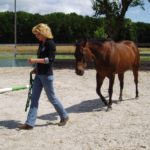 Pferdegestützte Intervention 3, MTI Schmidt