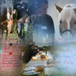 Collage HAE für Flyer, MTI Schmidt