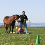 Pferdegestützte Intervention 2, Kommunikation, MTI Schmidt