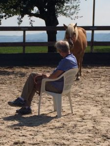 Pferdegestützte Therapie