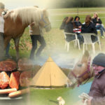 Pferdegestützte Seminare, MTI Schmidt