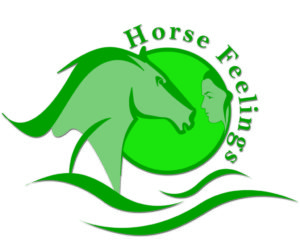 HorseFeelings.ch, Horse Academy, Pferde Freizeit - MTI-Schmidt